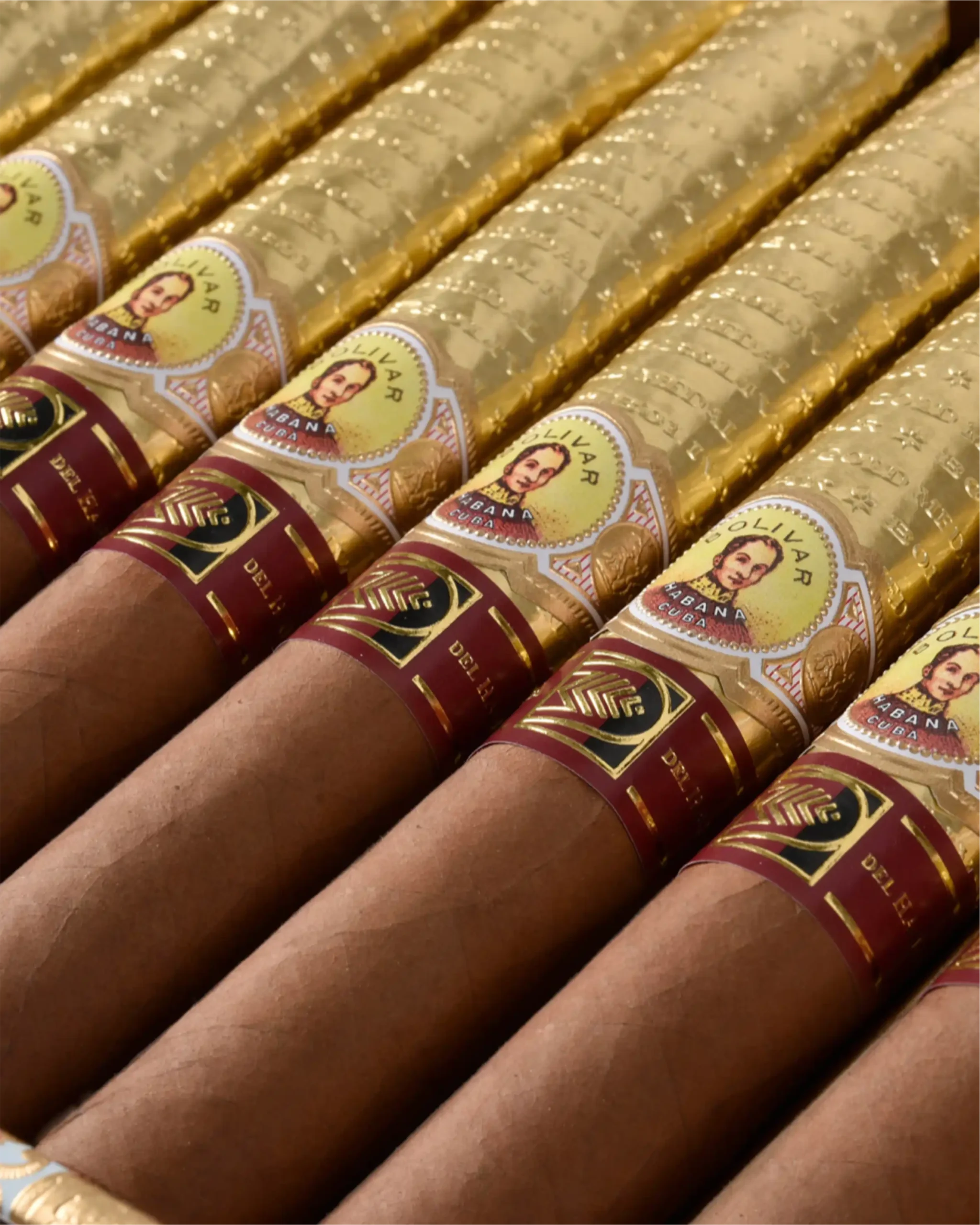 BOLIVAR NEW GOLD MEDAL LCDH - Image 3