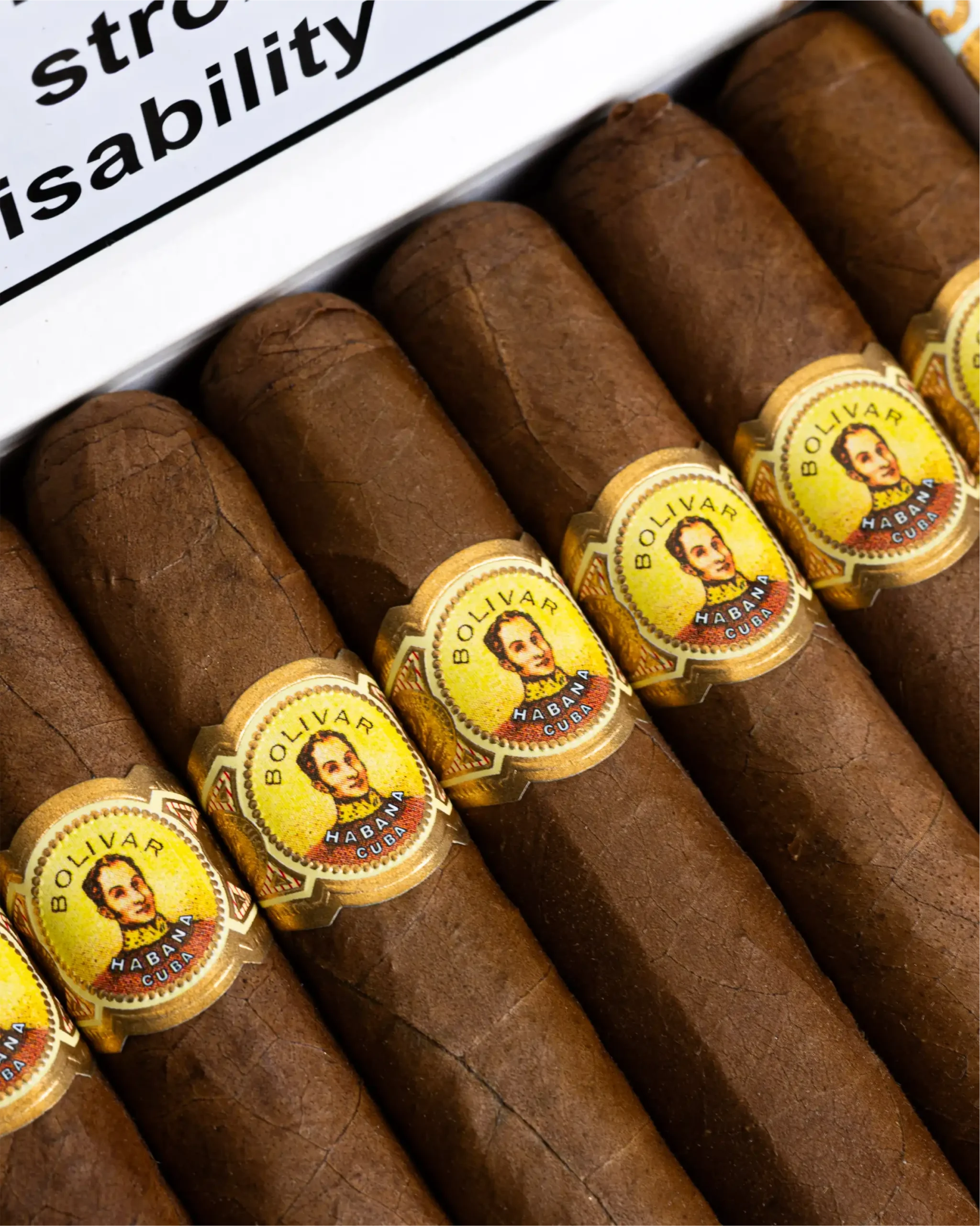 BOLIVAR PETIT CORONAS BOX OF 25 - Image 3