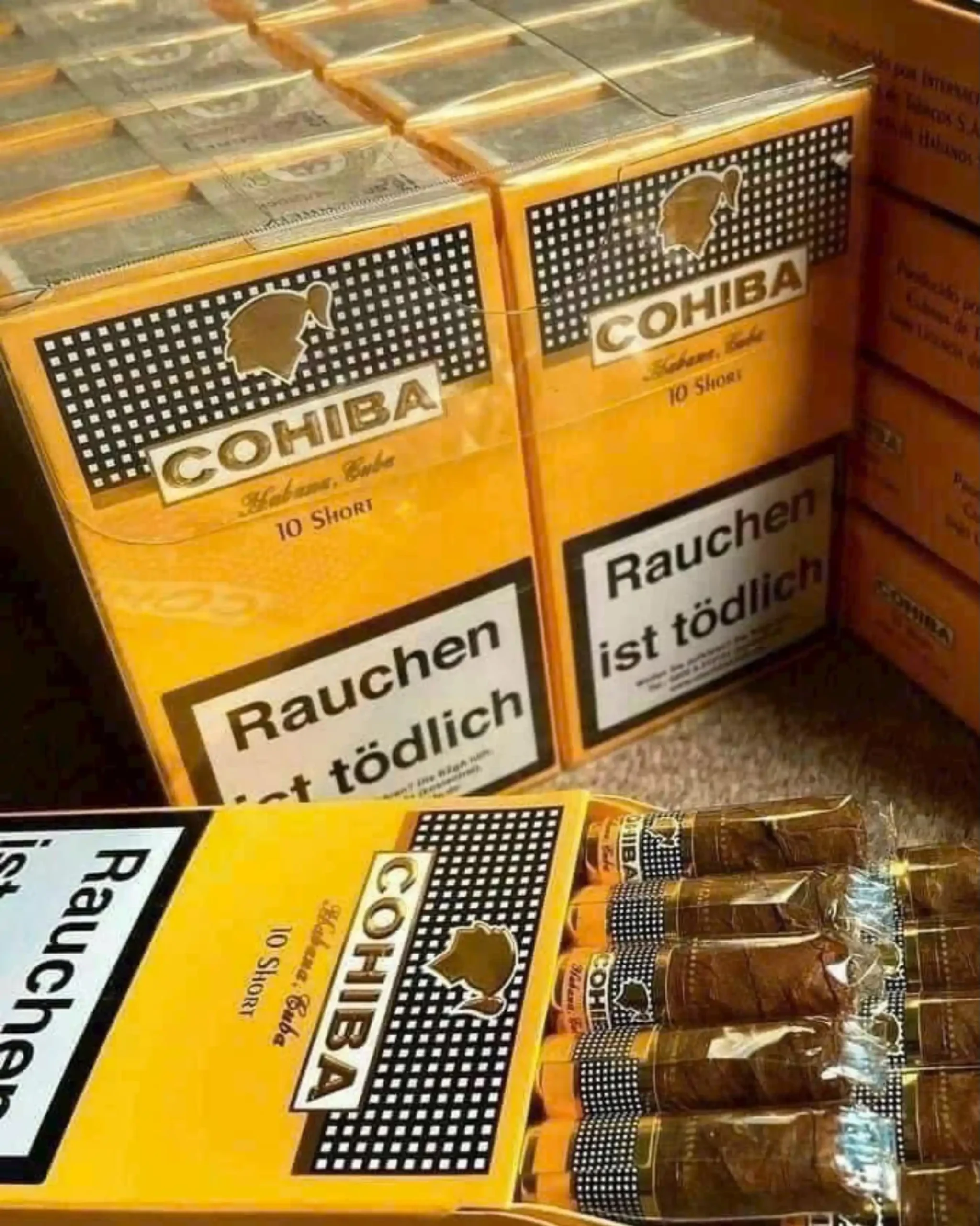 COHIBA SHORT 10x10 PACK - Image 3