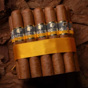 COHIBA ROBUSTOS BOX OF 25
