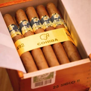 COHIBA SIGLO II BOX OF 25