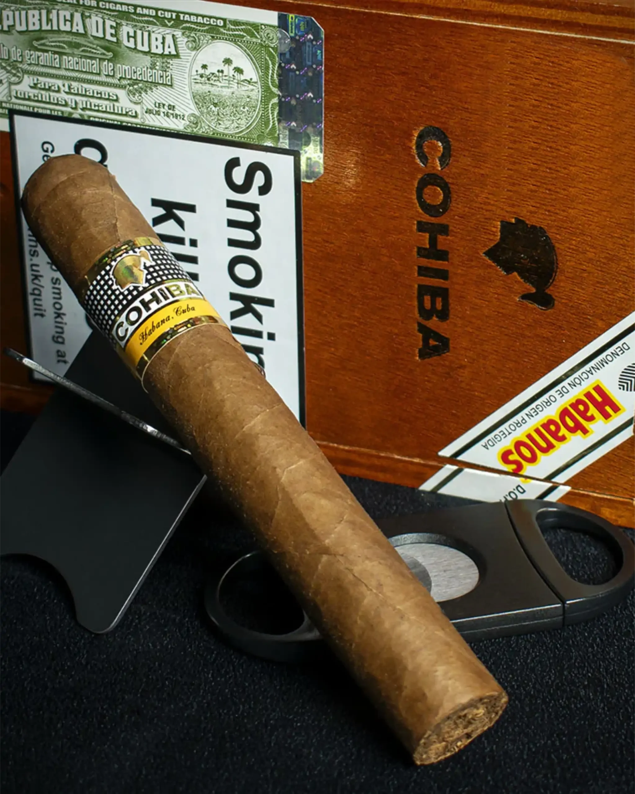 COHIBA SIGLO VI BOX OF 10 - Image 2