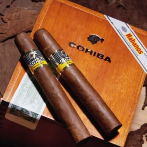 COHIBA SIGLO VI BOX OF 25